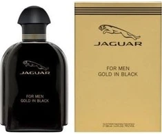 Jaguar For Men Gold In Juodas tualetinis vanduo 100ml