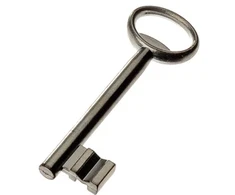 Jania Spynos skląstis 90/22 mm raktu - Z076