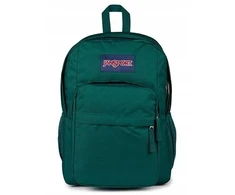 JanSport Big Day Pack Backpack žalia One size (EK0A5BLE5J4)