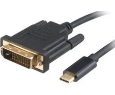 Akasa Type C Adapteris Kabelis prie DVI - juodas