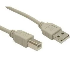 Kabelis USB Gembird USB-B - USB-B 3 m Kremas (CCUSB2AMBM10)
