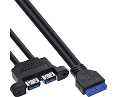 Kabelis USB InLine USB 3.2 Gen.1 Kabelis pagrindinė plokštė wewnętrzna do 2x gniazda USB-A 0,45m
