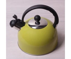 Kamille plieno virdulys su švilpuku 2,5 l Kamille KM-0679A