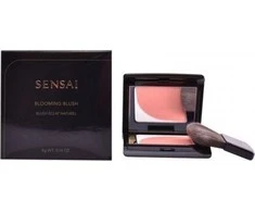 "Sensai" skaistalai 04 Oranžinis