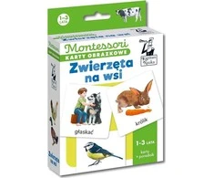 Kapitan Nauka Kapitono Nauka Montessori vaizdo kortelės