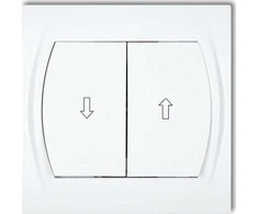 Karlik Balta akloji jungtis (LWP-8)