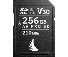 Atminties kortelė Angelbird AV PRO SD 256GB V30 MK2