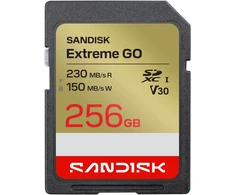 Atminties kortelė SanDisk Extreme GO 256 GB SDXC UHS-I