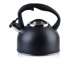 Kassel Allesken GAB Juodas Virdulys 2,5L