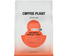 COFFEE PLANT - Guatemala Arnadlo Lopez Natural Filter 250 g