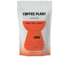 Kavos pupelės COFFEE PLANT Labai uogų skonio 100g