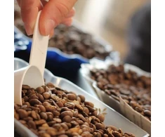 Kavos pupelės Diemme Caffe Aromatica kavos pupelės 200g
