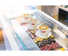 Kavos pupelės Trismoka Caffe Gurmaniškos 100 kavos pupelių 250 g
