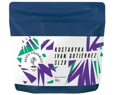 Bracia Ziółkowscy - Costa Rica Ivan Gutiérrez SL28 Honey Filter 150 g
