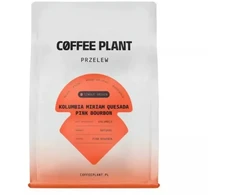 Coffee Plant KAVOS AUGALAS - Kolumbija Miriam Quesada rausvasis burbonas natūralus filtras 250 g