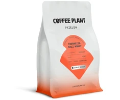 COFFEE PLANT - Indonesia Bali Honey Filter 250 g