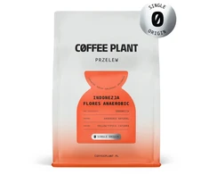 Coffee Plant KAVOS AUGALAS - Indonezija Flores anaerobinis filtras 250 g