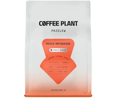 COFFEE PLANT - Kenya Muthuaini Washed Filter 250 g
