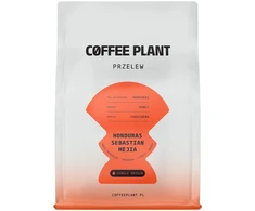 Coffee Plant KAVOS AUGALAS - Hondūras Sebastian Mejia medaus filtras 250 g