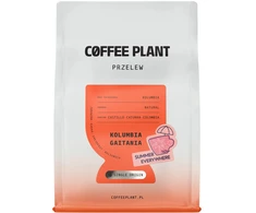 Coffee Plant KAVOS AUGALAS - Kolumbija Gaitania Summer Everywhere natūralus filtras 250 g