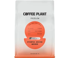 COFFEE PLANT – Etiopija Aricha washed filtruota 250 g