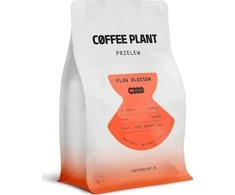 Kavos pupelės „Coffee Plant FLOW Blossom“ 250 g