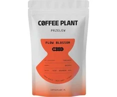 COFFEE PLANT - FLOW Blossom Filter 100g