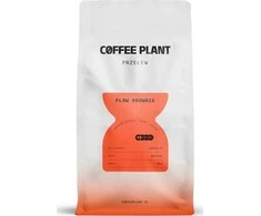 Coffee Plant KAVOS DALYLA - Flow Brownie filtras 800g