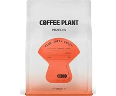 Coffee Plant Kavos augalas KAVOS AUGALAS - FLOW sultingų vaisių filtras 250g