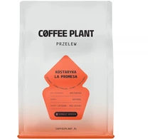 COFFEE PLANT - Costa Rica La Promesa Natural Filter 250 g