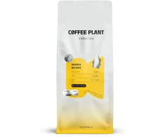 Malta kava Coffee Plant Uganda Bujuku 1kg