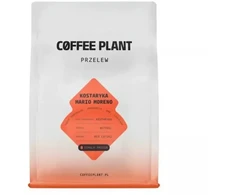 Kavos pupelės Coffee Plant kawa ziarnista Kostaryka Mario Moreno Naturalny filtras 250 g