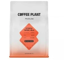 Coffee Plant KAVOS AUGALAS - Etiopijos išplautas filtras 250 g