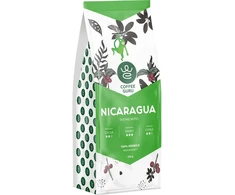 Kawa ziarnista CoffeeGuru Nicaragua 250 g