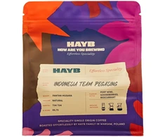 HAYB - Indonesia Team Pegasing Natural Filter 250 g
