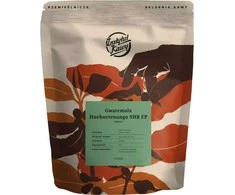 Kavos pupelės Instytut Kawy Guatemala Huehuetenango SHB EP 1kg