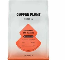 Story Coffee Roasters Coffee Plant KAVOS AUGALAS - Gvatemala San Marcos plautas filtras 250g