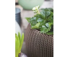 Keter COZIES KNIT gėlių vazonas - šviesiai rudas