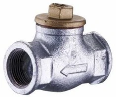 KFA ketaus atbulinis vožtuvas 6/4 "(192-010-40)