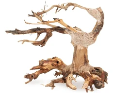 King Tony Bonsai medžio lėkštė nr. 24 15x12