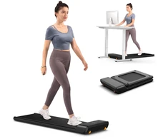 Kingsmith King Smith Fitness Walkingpad A1 pro