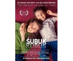 Vaizdo grotuvas Kino Swiat DVD