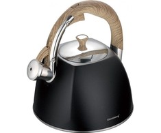 LAKUOTO PLIENO VIRDULIS 3,0L KLAUSBERG KB-7498