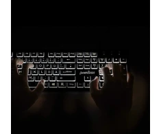 Klaviatūra Perixx PERIBOARD-317, DE, su pašvietimu klaviatūra, USB su laidu, large block letters, juodas (układ niemiecki)