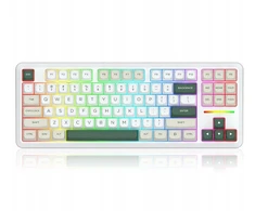 Klaviatūra Redragon Wildslash Pro K734WCG-RGB-PRO