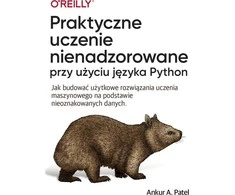 Apn Promise Kalbos neprižiūrimas praktinis mokymasis
