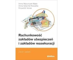 Difin Draudimo įmonių ir įmonių apskaita