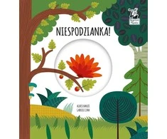 KNYGA Kapitan Nauka Kapitono mokslas. Stebuklingas ratas. Siurprizas!