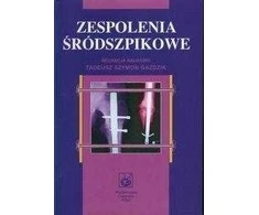 Pzwl Peilio pavadinimas