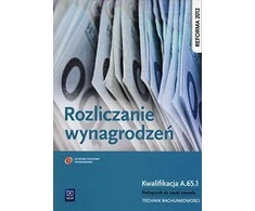 Wsip Darbo užmokesčio mokėjimo patvirtinimas A.65.1 kvalifikacija